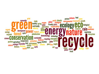 Conceptual ecology word cloud