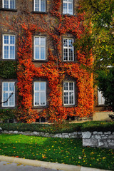 autumn facade