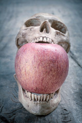 still life with skull human and red apple on old wooden table