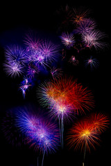 multi colorful firework beautiful isolated on black background,