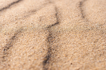 Fototapeta na wymiar closeup sand pattern of a beach in the summer