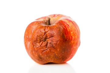 Rotten apple closeup on white background