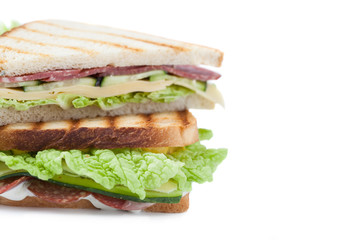 sandwich on a white background