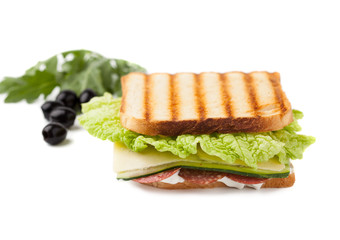 sandwich on a white background