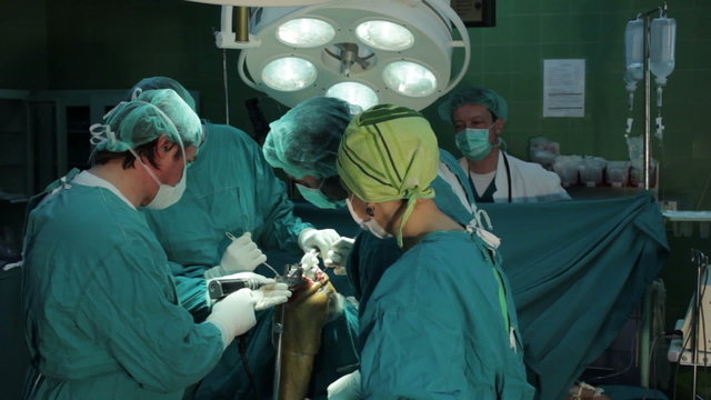 Embedding a metal implant in the knee of the patient. Knee operations. Surgeon drilling metal plate and bone. Surgeons and nurses in the operating room
