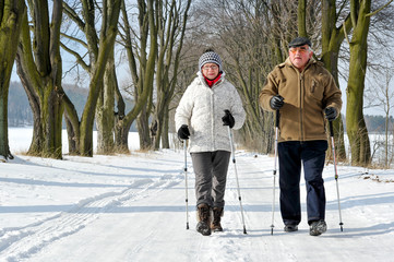 Nordic walking - 91433226
