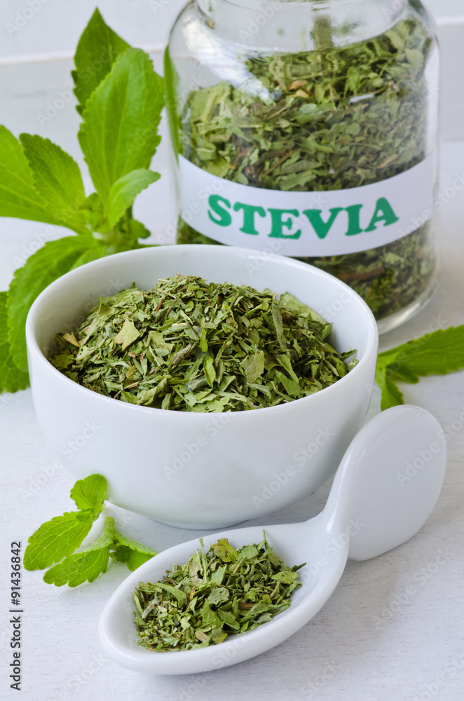 Sticker stevia fresh and dried leaves.