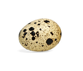 Quail egg on a white background