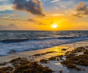 Fototapeta premium surf at dawn