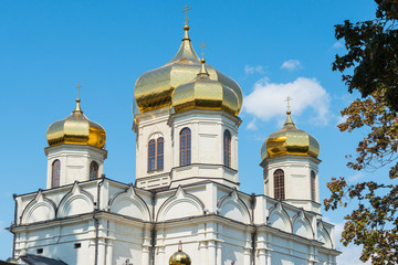 Fragment with the domes of the Orthodox Church, Stavropol