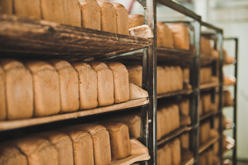 Shelves with loaves of bread 3595.