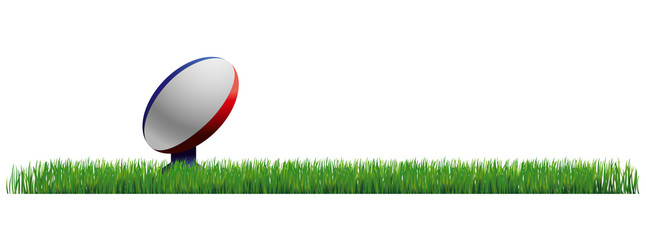 RUGBY BALLON PELOUSE