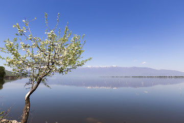 Fototapeta na wymiar Kerkini lake and mountain eco-area at north Greece by Struma riv