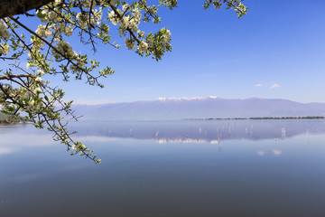 Kerkini lake and mountain eco-area at north Greece by Struma riv