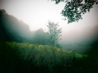 A foggy morning view in the Berkshire Mountains of Western Massachusetts.