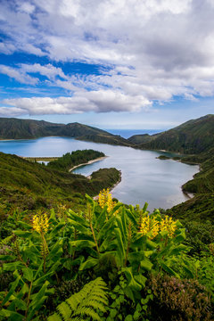 Lagoa do Fogo/Nature Reserve