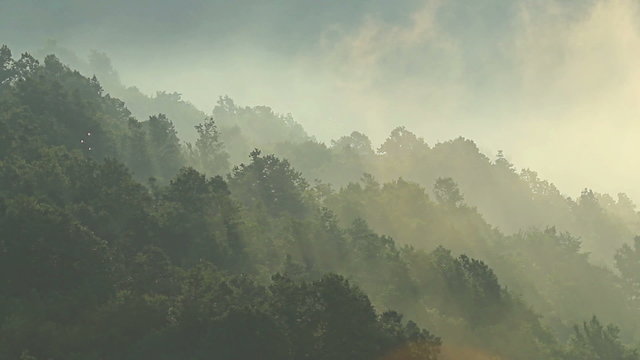 Time lapse of fog rolling over the mountain hills with forest