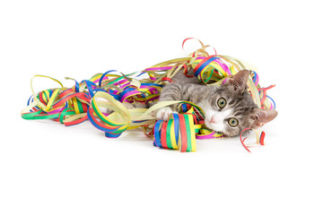 Tolle Party!