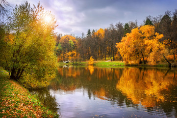 Золотой мотив осени Golden autumn motive