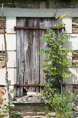 Window Inhabitable house