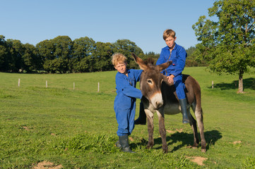 Obraz premium Farm Boys with their donkey