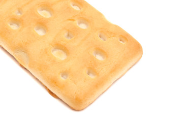 single tasty cookie on white