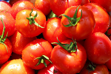 red ripe tomatoes