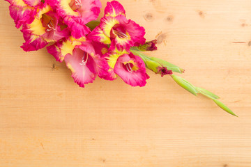  hintergrund - blüte auf holztafel