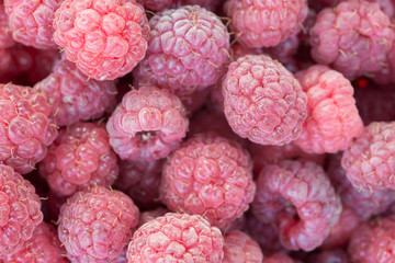 raspberries