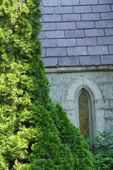 Vignette of church wall and green shrub, downtown Keene, New Ham