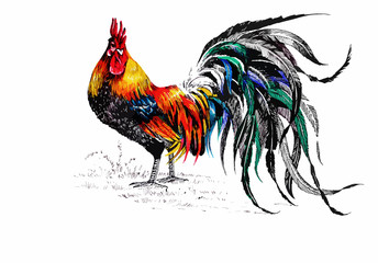 Pattern with farm rooster silhouette © kostanproff