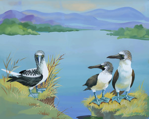 Seagulls flock swimming on pond watercolor vector illustration