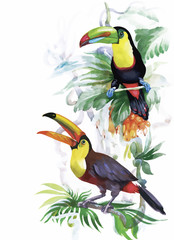 Watercolor wild exotic birds on flowers 