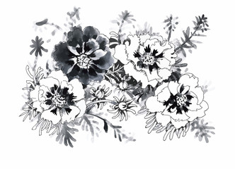 Beautiful monochrome, black and white flower isolated. Hand