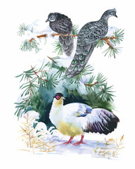 Obraz premium Watercolor wild exotic birds on flowers 