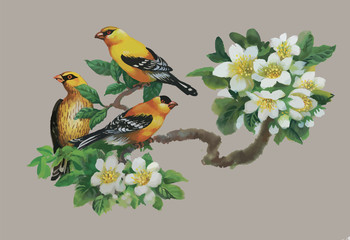 Watercolor wild exotic birds on flowers 