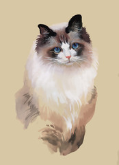 Watercolor portrait of cat illustration vector