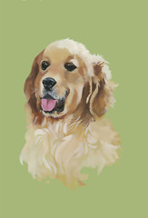 English cocker spaniel Animal dog watercolor illustration vector