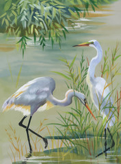 Heron birds watercolor vector illustration