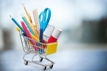 School shopping cart.