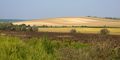 Fototapeta premium View on Hungarian landscape in the province Somogy