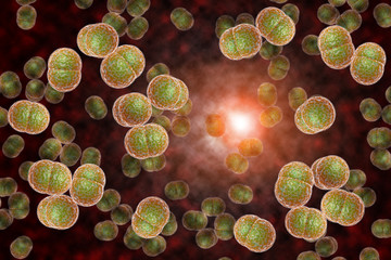 Meningitis Bacteria Infection - obrazy, fototapety, plakaty
