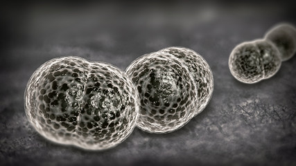 Meningitis Bacteria Infection