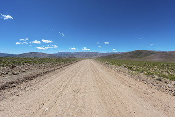 Condor, Quebrada de Humahuaca, Jujuy, Argentina