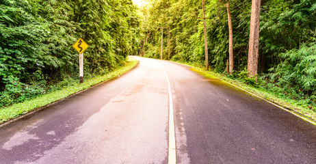 Fototapeta na wymiar Winding road and sign label with sunlight in national park forest, Kanchanaburi Thailand.