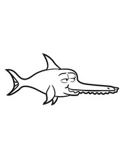 Sawfish hai saw teeth funny