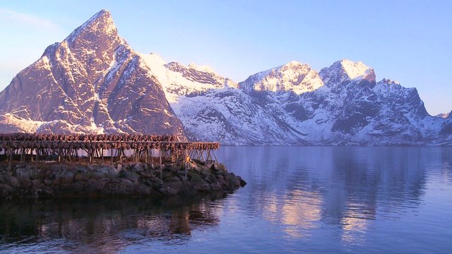 Fish are hung out to dry on wooden racks in the Lofoten Islands, Norway.