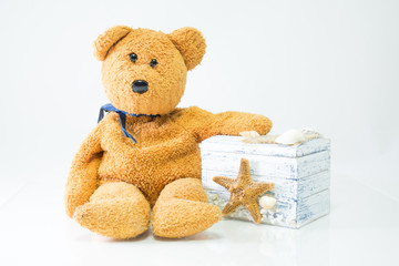 Teddy with gift box on white background