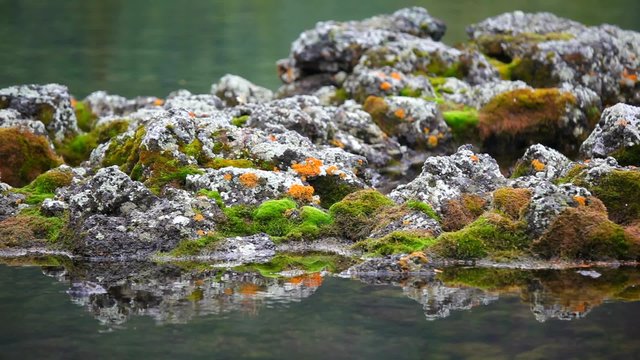 Камни в воде и мох