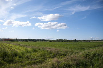 Сельскохозяйственное поле под голубым небом